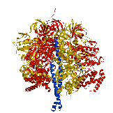 Mitochondrial Bovine F1-ATPase, J. P. Abrahams et
al, [1994] Nature 370, 621-628.
